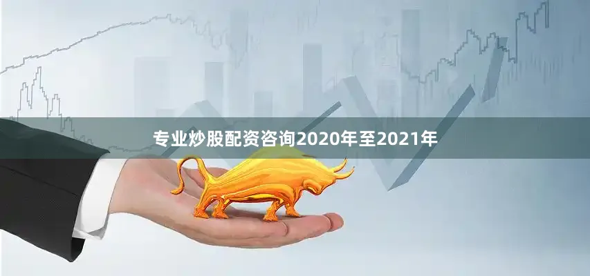 专业炒股配资咨询2020年至2021年
