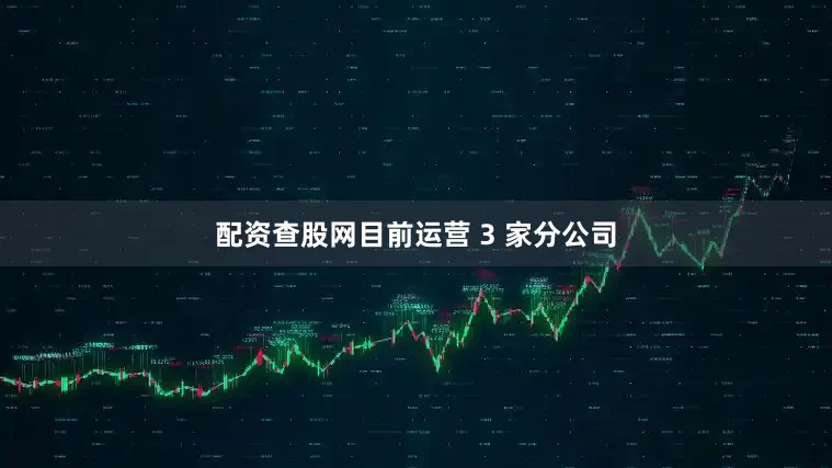 配资查股网目前运营 3 家分公司